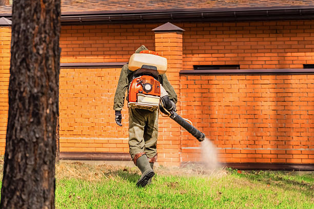 Bed Bug Clearance Verification and Documentation in West Odessa